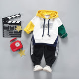 Toddler Boys Clothes 2019 Autumn Winter Kids Clothes Hooded+Pant Outfit Children Clothing Suit For Boys Clothing Sets 2 3 4 Year