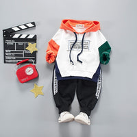 Toddler Boys Clothes 2019 Autumn Winter Kids Clothes Hooded+Pant Outfit Children Clothing Suit For Boys Clothing Sets 2 3 4 Year