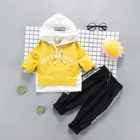 Toddler Boys Clothes 2019 Autumn Winter Kids Clothes Hooded+Pant Outfit Children Clothing Suit For Boys Clothing Sets 2 3 4 Year