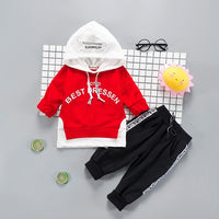 Toddler Boys Clothes 2019 Autumn Winter Kids Clothes Hooded+Pant Outfit Children Clothing Suit For Boys Clothing Sets 2 3 4 Year