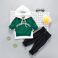 Toddler Boys Clothes 2019 Autumn Winter Kids Clothes Hooded+Pant Outfit Children Clothing Suit For Boys Clothing Sets 2 3 4 Year