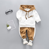 Toddler Boys Clothes 2019 Autumn Winter Kids Clothes Hooded+Pant Outfit Children Clothing Suit For Boys Clothing Sets 2 3 4 Year