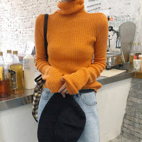 Turtleneck Sweater Women Autumn Winter Long Sleeve Leisure Sweater 2019 Solid Casual Pullover Fashion Knitted Sweater Tunic